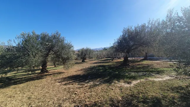 Parcela en venta - Costa del Sol - foto 4