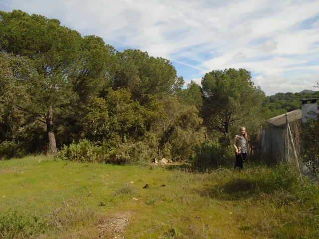 ¡¡ Ocasión !! — 3