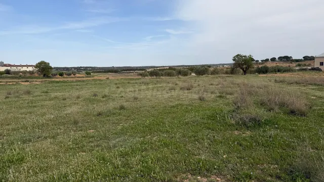 Se vende parcela rústica en Abengibre, Albacete. - foto 3