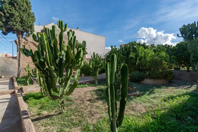 Tu proyecto de futuro en Los Barreros, Cartagena — 46