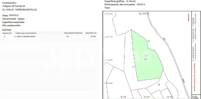 FINCA RÚSTICA EN VENTA EN CARMONA – 18.000 m2 CON POZO – CER - foto 3