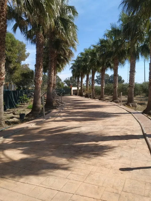 Espectacular casa de piedra con parcela de 10.000m2,  no deje pasar esta oportunidad. — 5