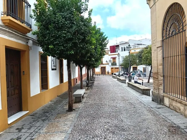 Apartamento 4 habitaciones 114m² en venta - Casco Antiguo - foto 3