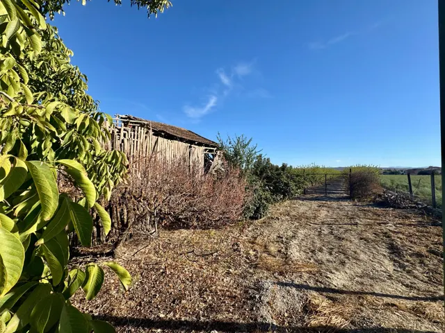 TERRENO RÚSTICO EN VENTA EN CHAUCHINA – 3.146 m2 CON POZO Y  - foto 3