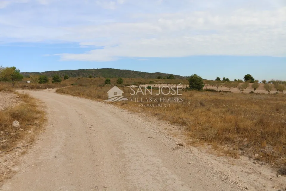 VENTA DE TERRENO EN JUMILLA