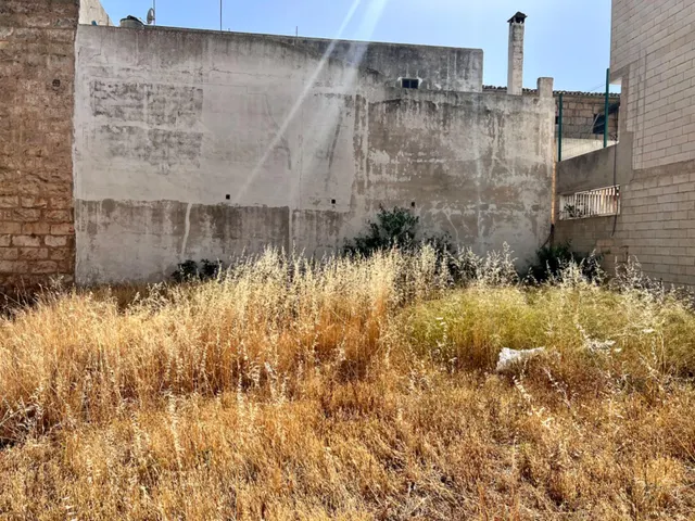 Solar en Sa Pobla — 6