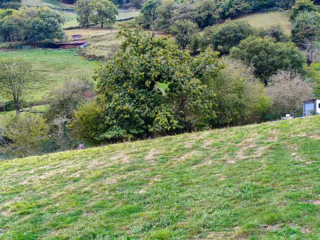 Finca edificable de 2.065 m2 en Olloniego, con vistas a la montaña — 9