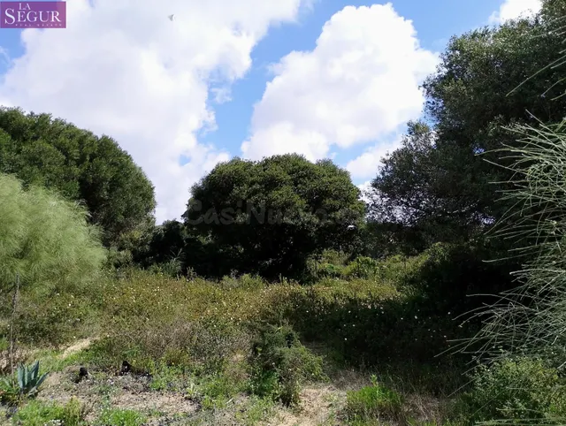PARCELA EN VENTA EN ZAHORA