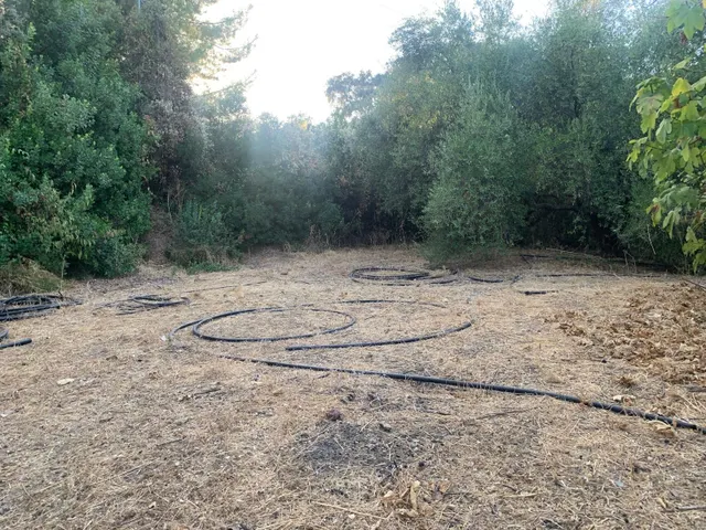 PARCELA ZONA DOÑA MANUELA — 9