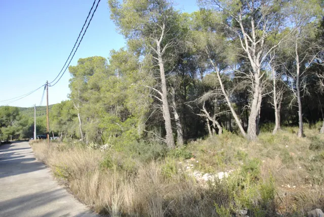 Parcela Rústica en el municipio de Cubelles, 5.560 mts2 Corral d'en Cona — 10