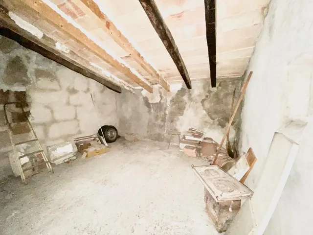 Finca rústica con caseta y 6000m2 para tus proyectos de campo — 17