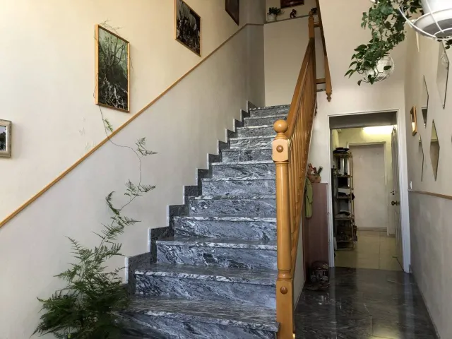 ¡¡¡ESPECTACULAR VIVIENDA CON LOCAL EN VENTA!!! — 11