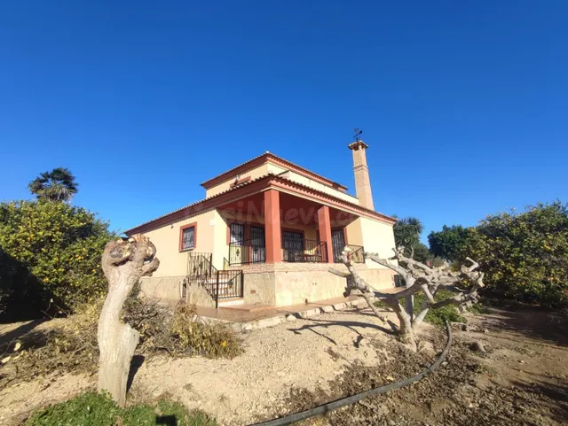 Casa de campo con huerta en Algorfa, a pocos kilómetros de l