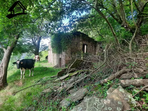 Cabaña tradicional de piedra con gran finca de 9.710 m2 en el Paraje de Campillo, Selaya