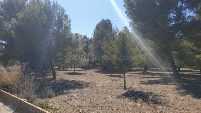Parcela en venta - Comunidad valenciana - foto 3