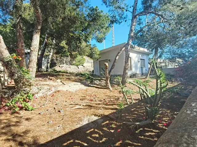 PARCELA CON EDIFICACION EN TODOSOL — 4