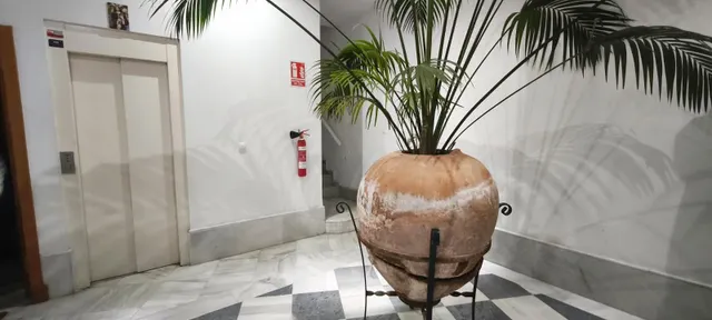 PLAZA CANDELARIA - CADIZ - ¡ EXTERIOR CON ASCENSOR ! — 30