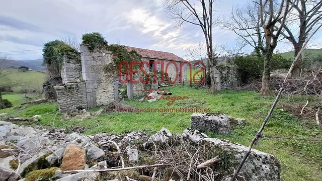 CASA Y CABAÑA PARA REHABILITAR. SOLORZANO — 10