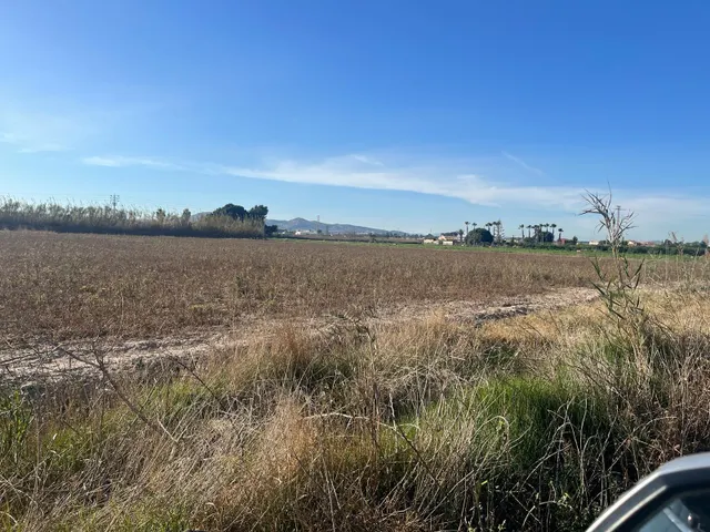Terreno Almoradí Partida el Gabato 11.636 m2 Cerca Polígono Maromas y nuevo colegio — 3