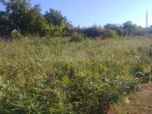 Terreno en venta en calle de Manuel Cominges, 132, Vigo