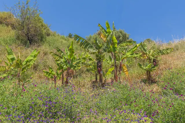 Parcela 400m² en venta - Costa Del Sol - foto 4