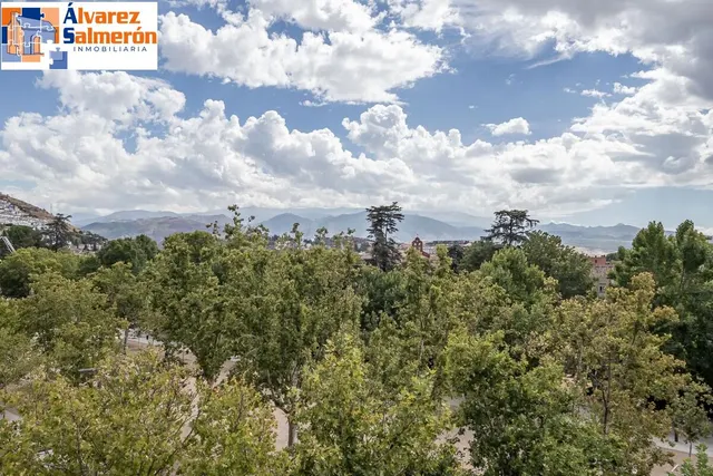 Pisazo en paseo del salón - Granada — 3