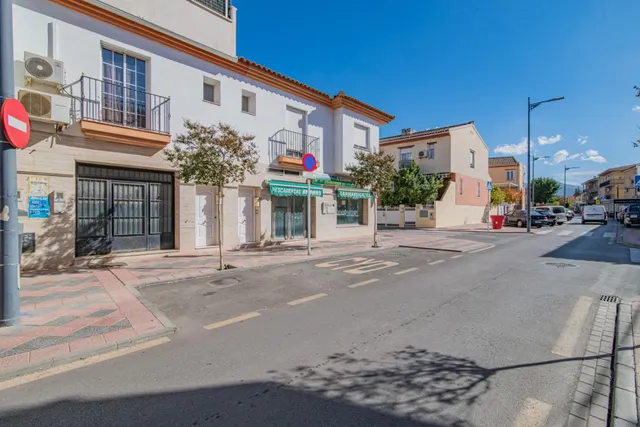 Local Comercial en la Calle San Miguel de Armilla — 5