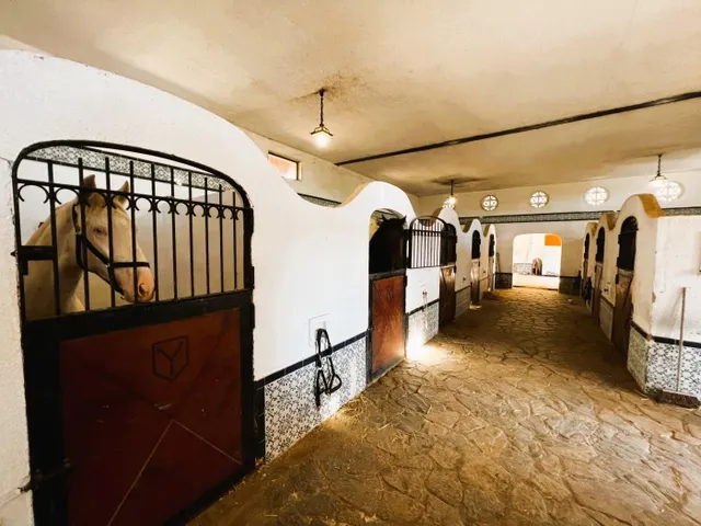 FINCA ECUESTRE DE ESTILO MEDITERRÁNEO. — 37
