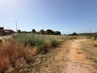 En ventas: 2 parcelas independientes - Santa Oliva - foto 4