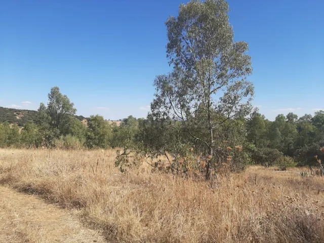 Parcela en el Pradillo - foto 3