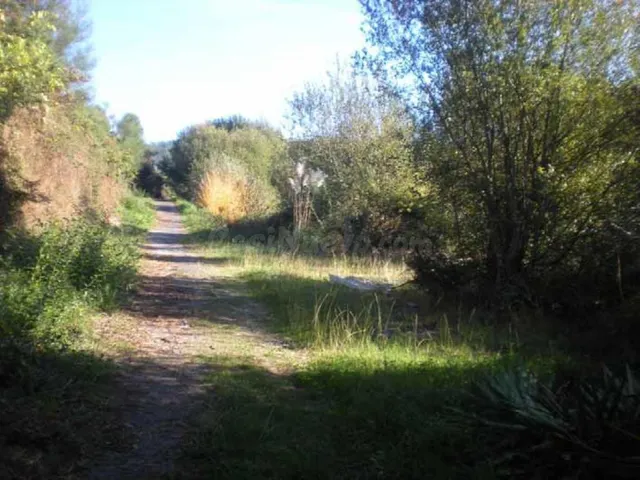 Suelo Rústico en venta, TOMBO, Sanxenxo, Pontevedra - foto 3