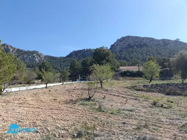 Villa 4 habitaciones 202m² en venta - Abanilla — 31