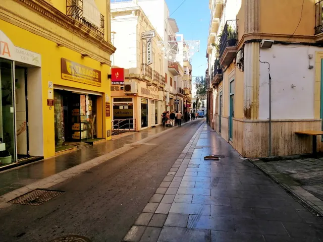 VENTA DE SOLAR EN CALLE PEATONAL EN PASEO DE ALMERIA — 7