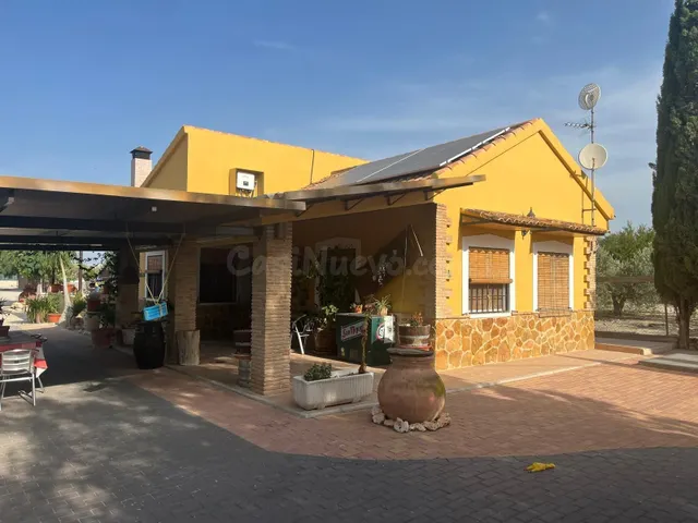 CAMPO DE FORTUNA 616652603 — 2