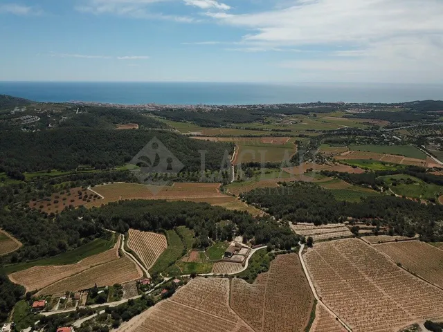 Finca rústica con dos casas a cinco minutos de Sitges. — 8