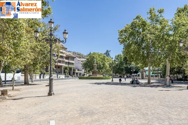EXCLUSIVO INMUEBLE EN PLAZA DE CARRETAS, JUNTO AL EMBLEMÁTICO PASEO DEL SALÓN — 30