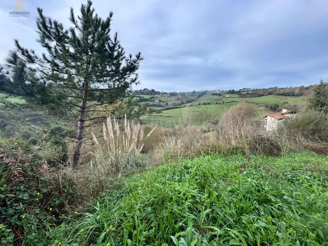 Terreno enVenta en Pañaferruz - foto 5
