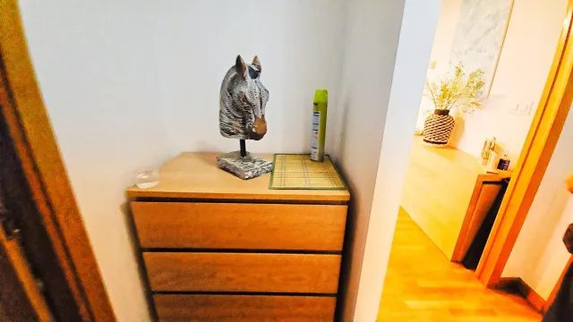 Todo lo que necesitas para sentirte en casa — 9