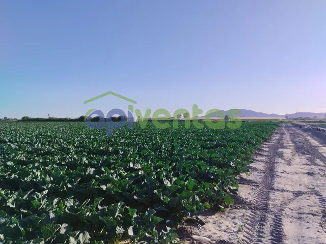 Terreno de riego consolidado — 4