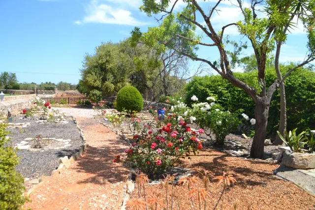 Magnifica finca — 44