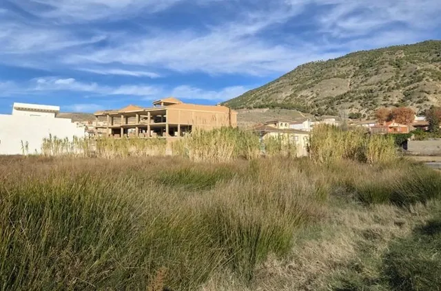 Gran parcela en Padul — 9
