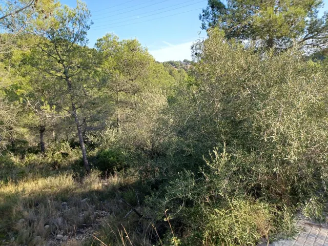 Terreno urbano edificable en venta de 1287 m2 en CASTELLET I LA GORNAL — 11