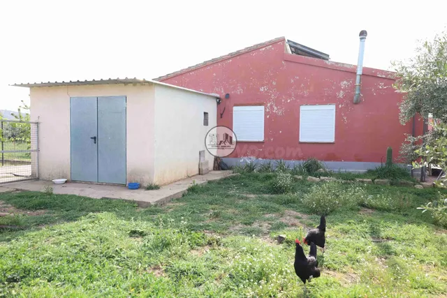 MÁSICO EN VENTA EN ALCAÑIZ - foto 5