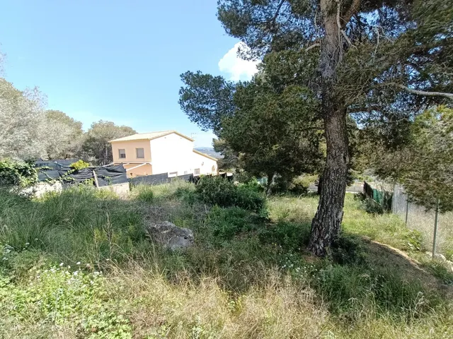 Terreno vallado en la entrada de la urbanización La Cogullada de Canyelles — 6