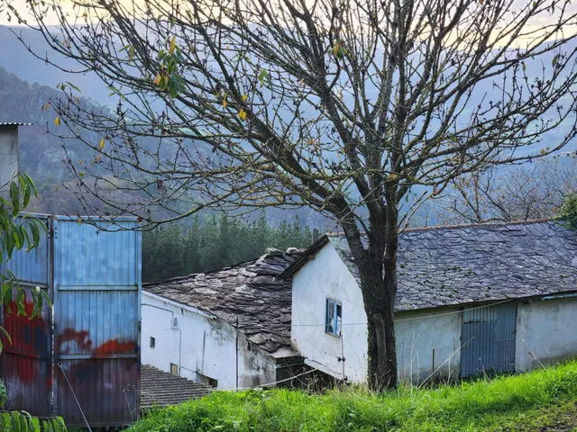 PRECIOSA CASA CON CAPILLA Y TERRENOS EN VILLAYON (ASTURIAS) — 6