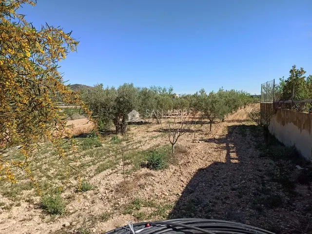 Se vende casa de campo con terreno — 50