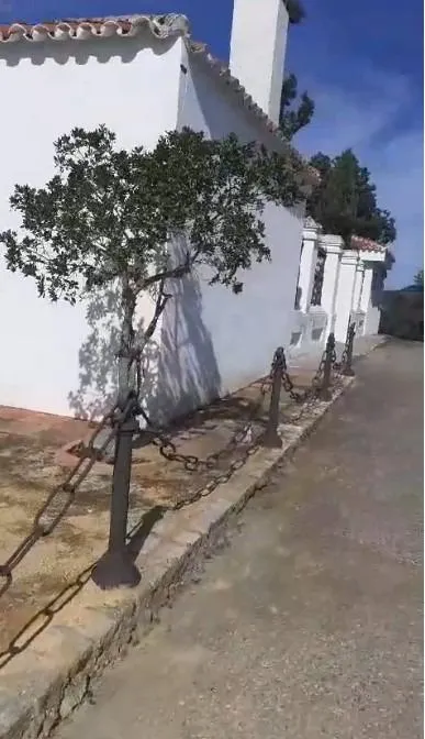 "Finca de Ensueño en Hornachuelos: Caza, Naturaleza y Confort" — 19