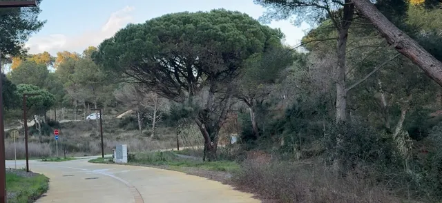 Venta de parcelas edificables en Urbanización de Palamos - foto 4