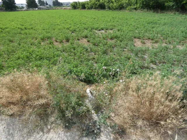 ++Terreno no urbano en Alguazas zona El Paraje++, 1513 m — 7