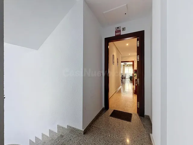 VIVIR EN EL ZAPILLO — 2
